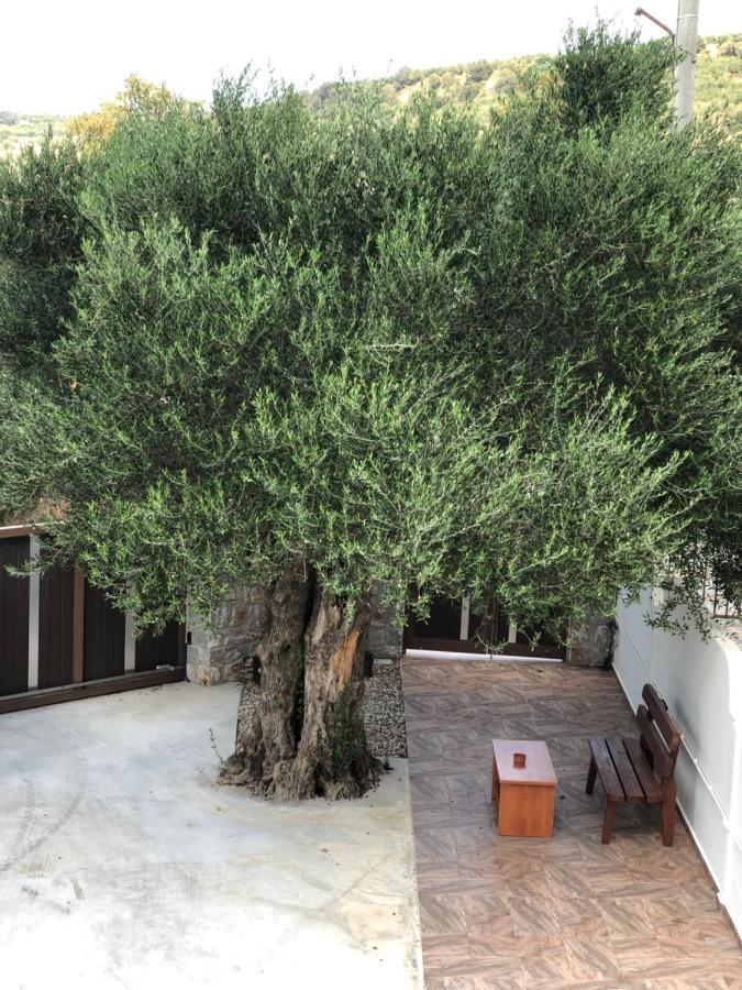 Creta Galini House Villa Sirílion Buitenkant foto