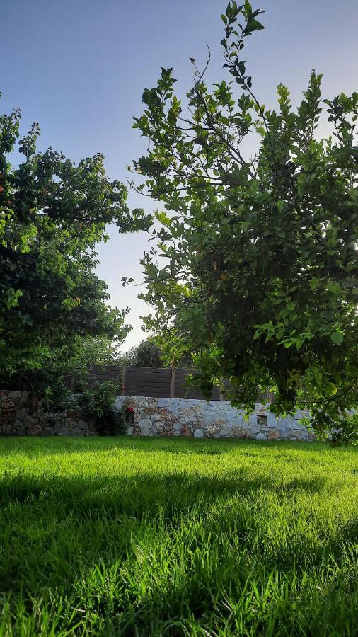 Creta Galini House Villa Sirílion Buitenkant foto